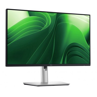 DELL Monitor P2425DE, 24", IPS, QHD, 100 Hz, USB-C 90 W, LAN, DP-out